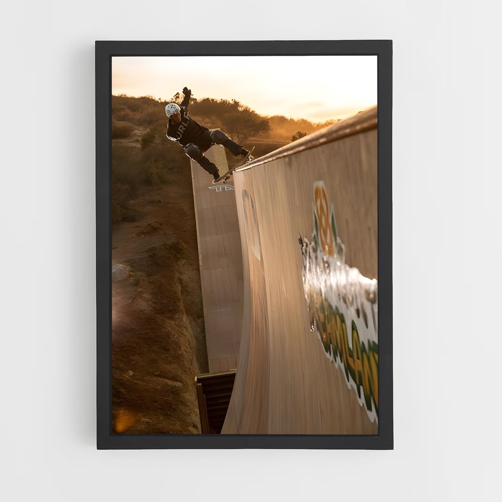 Poster Bob de burnquist – affiche Skateboard (vue 2)